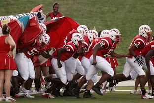 乐鱼入口-教练战术板数字化，赛前准备更具效率，的篮球教练战术板教程视频